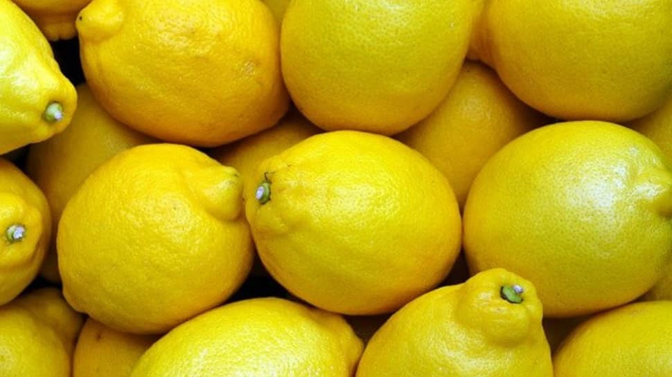 Tangy Lemons Versatile Citrus Fruit for Many Uses