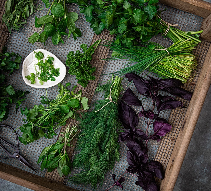 The Delicate Power of Dill Enhancing Salads and Seafood