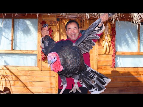 Turkey Roasted in a Kiln and Braised with Rice, Good Chinese Food from Rural | Uncle Rural Gourmet