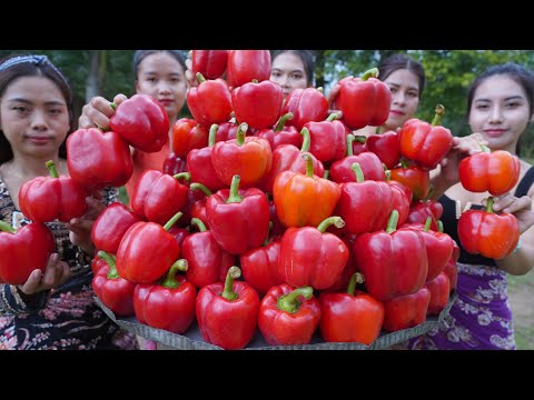 Red bell pepper boiled with egg boiled cook recipe with my family - Amazing video