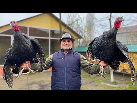 A Neighbor in The Village Gave The Recipe! This TURKEY Cooking Method Has MILLIONS of Views