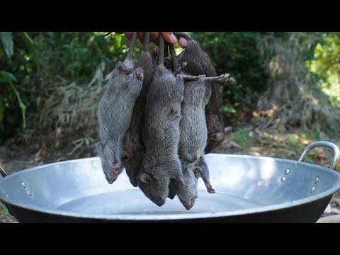 Fried Rat in simple recipe with mango sauce in my village #ratcooking #friedrat