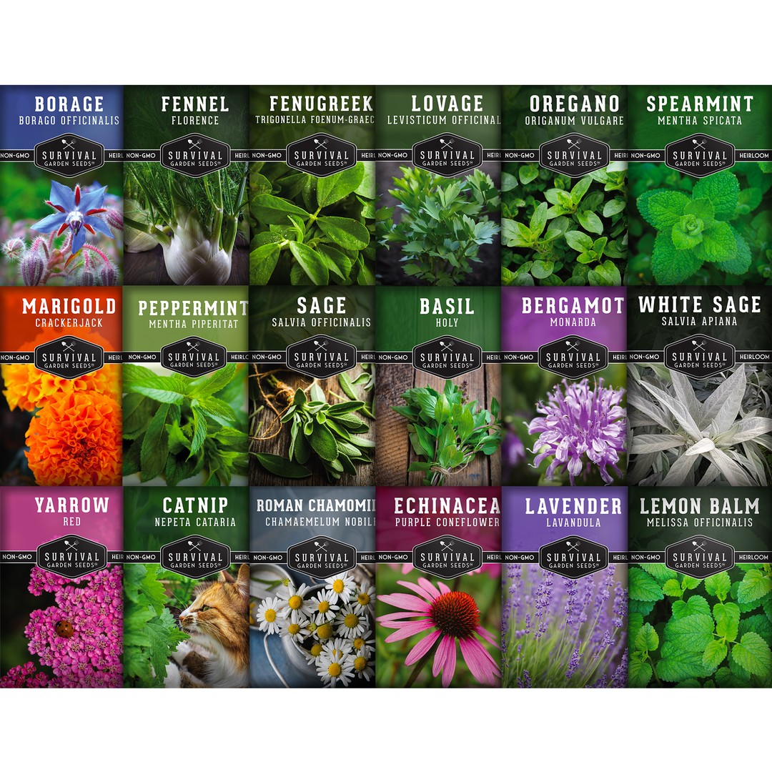 Herbalism for beginners - How to get started