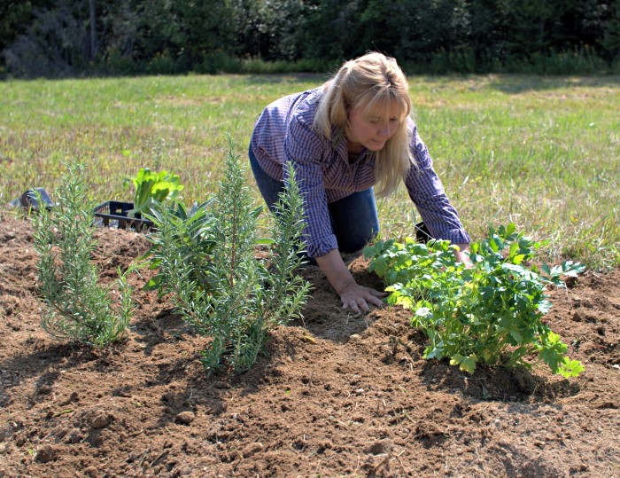 Today I went to cut grass, sow herbs, and take care of the vegetable garden
