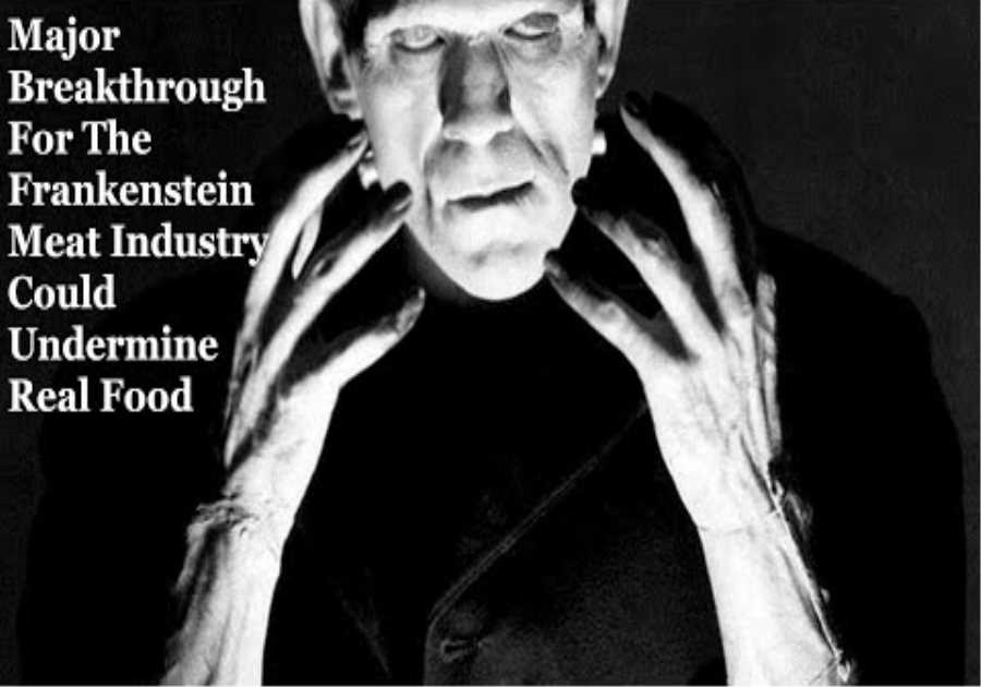 Major Breakthrough For The Frankenstein Meat Industry Could Undermine Real Food