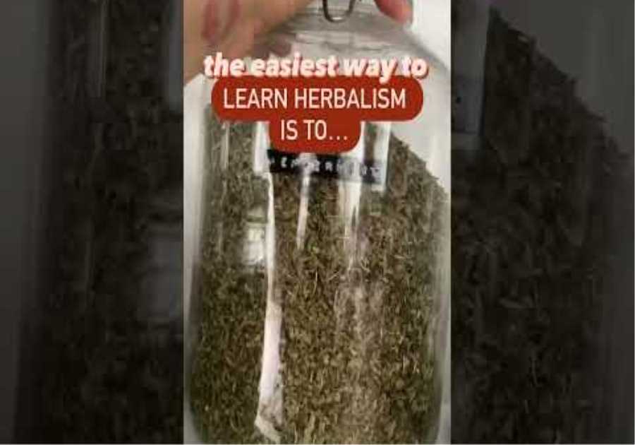 The easiest way to learn herbalism… do it 🌿