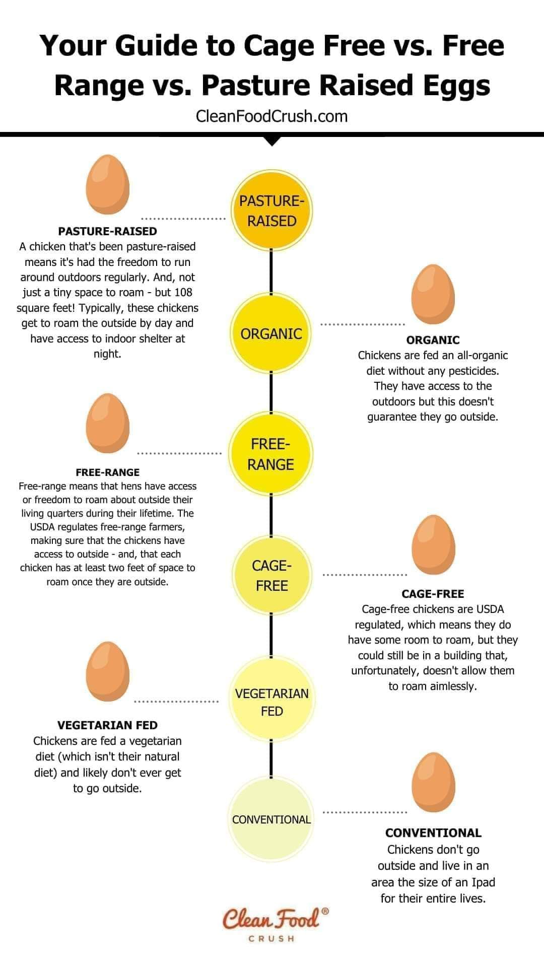 Discover the Art of Responsible Eating FreeRun Eggs