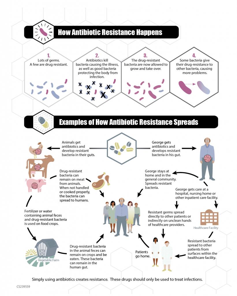 Reduce the Risk of Antibiotic Resistance with Organic Food