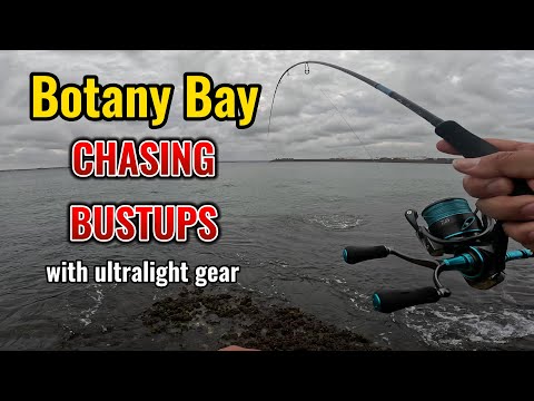 Botany Bay Chasing bustups with Ultralight gear