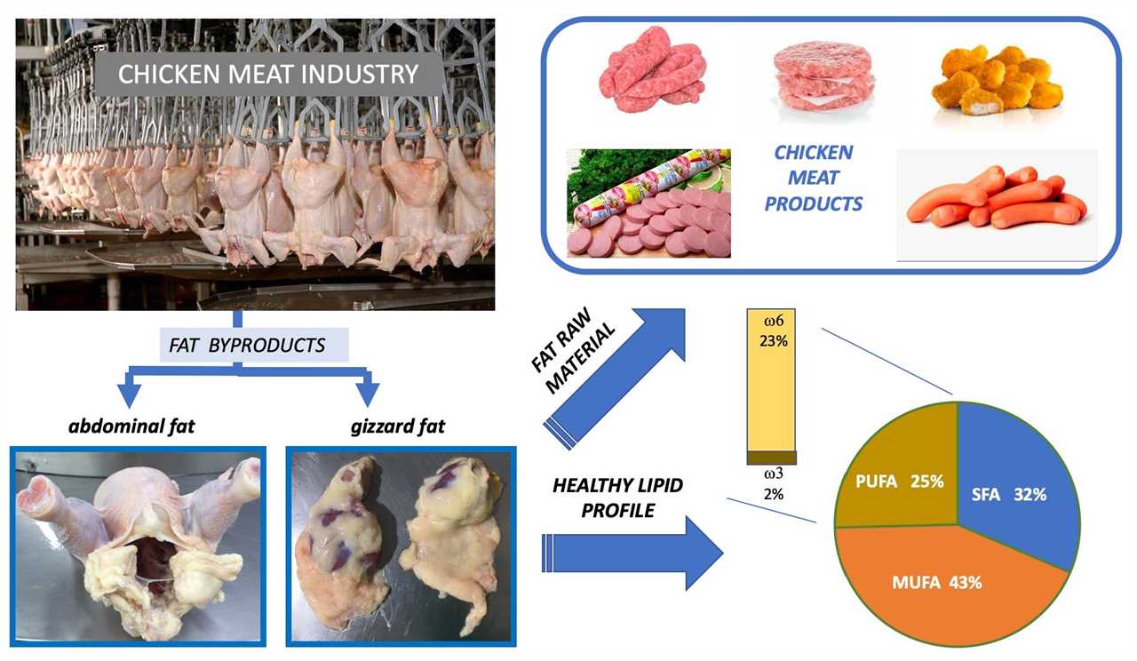 Discover the Art of Responsible Eating Organic Chicken