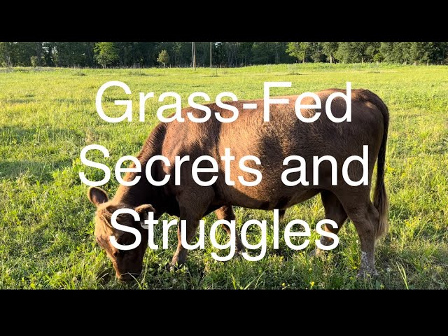 Unlock the Secrets to Better Health GrassFed Beef