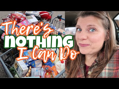 This Could've Been A HUGE GROCERY HAUL | November Groceries From Walmart | Aldi | KwikTrip