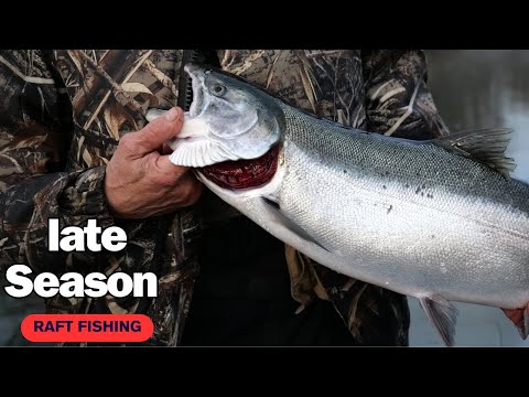 Late Season Coho | TWITCHING Limits | Raft Fishing