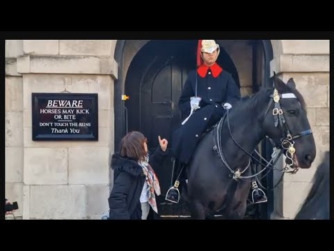 Wags her finger at the kings guards after touching the reins 😆 🤣