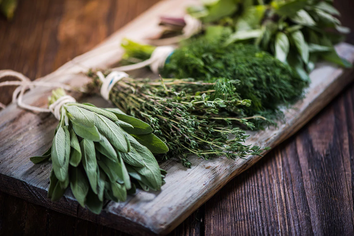 How to freeze fresh herbs to make them last | Pantrydemic recipes