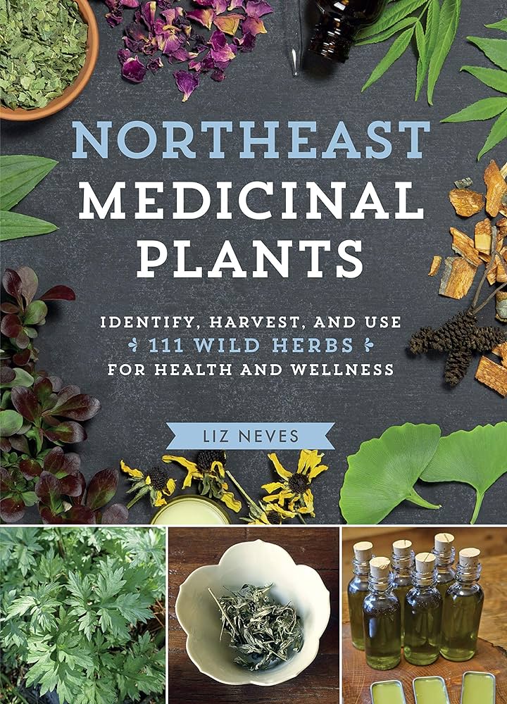 How To Make A Herbal Tincture And Why You Should Never Use Cheap Vodka - Medicinal Friday