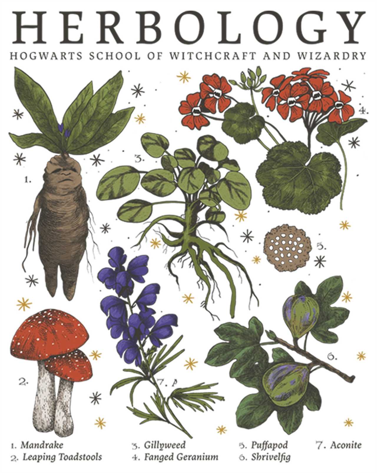 Ready to Learn about Herbalism? The Home Apothecary Course is LIVE!!!!