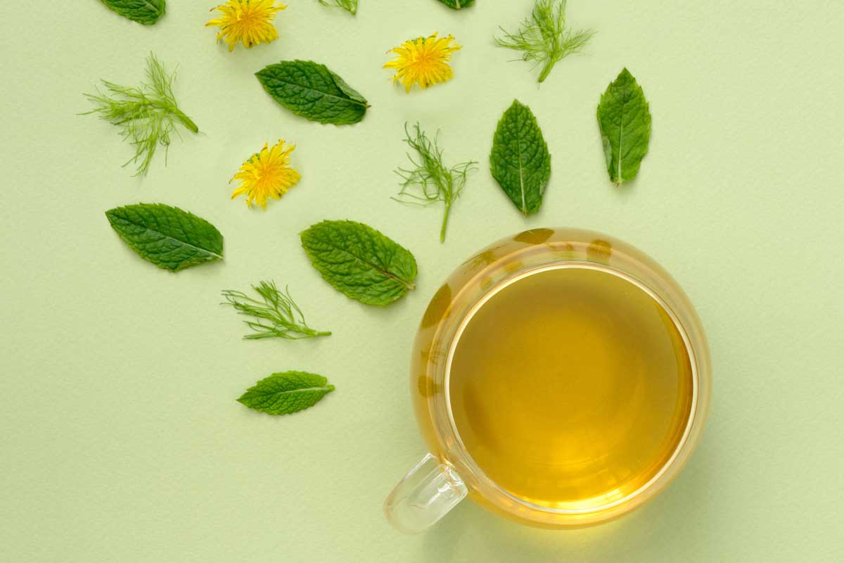 Harvesting and Drying Herbs for Teas and Cooking Easy Spring Dish, Cooking on Nature