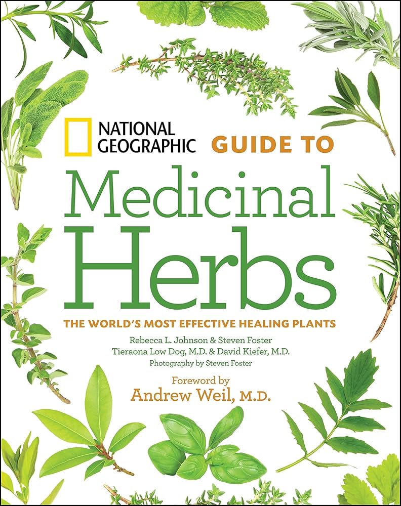 Intro to Growing and Using Medicinal Herbs