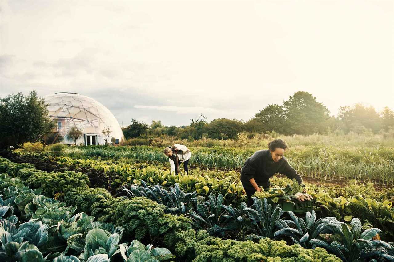 Treating the Farm as an Ecosystem with Gabe Brown Part 1, The 5 Tenets of Soil Health