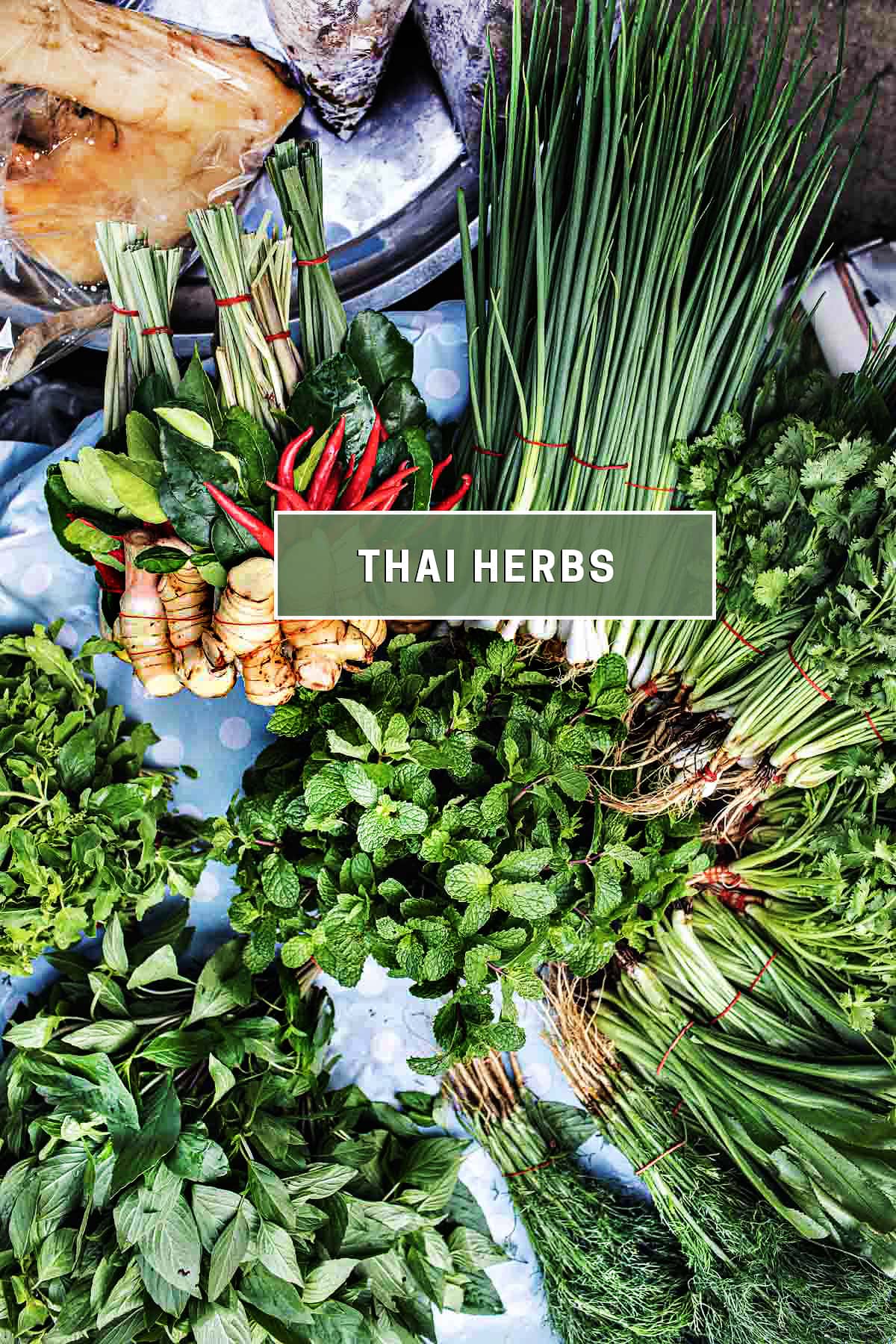 preserving herbs