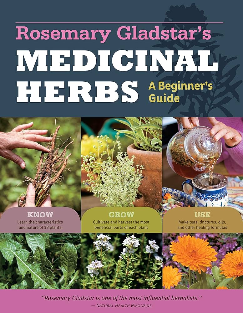 herbal garden medicinal plants|medicinal herbs for beginners