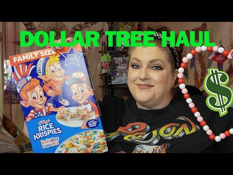 DOLLAR TREE HAUL | January 5, 2024