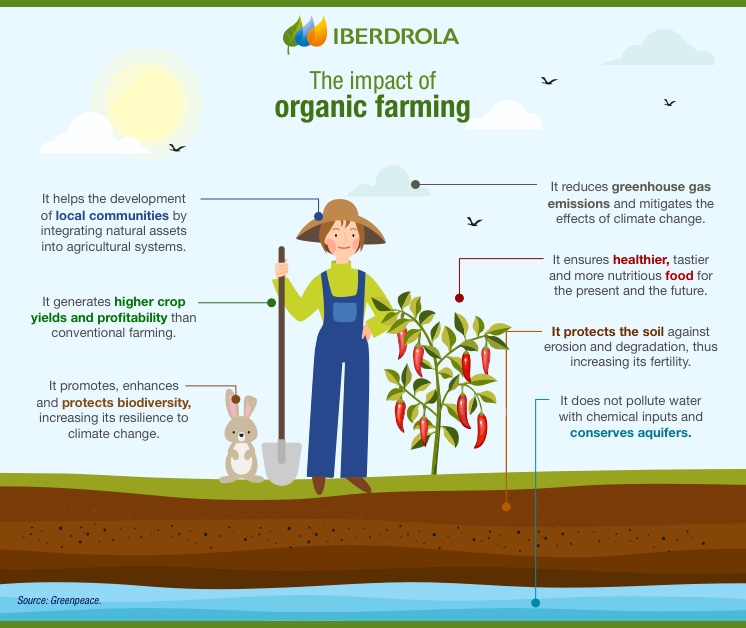 Organic Farming - How to Start Business Organic Farming - Organic Production Step by Step