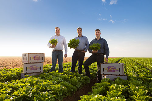 Composting Producers - 2021