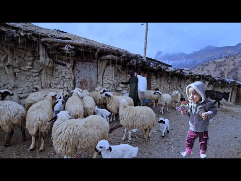 Nomadic Lifestyle Documentary: Saifullah and Arad's Journey Continues