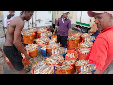 BIGGEST FISH MARKET Shopping in GUYANA