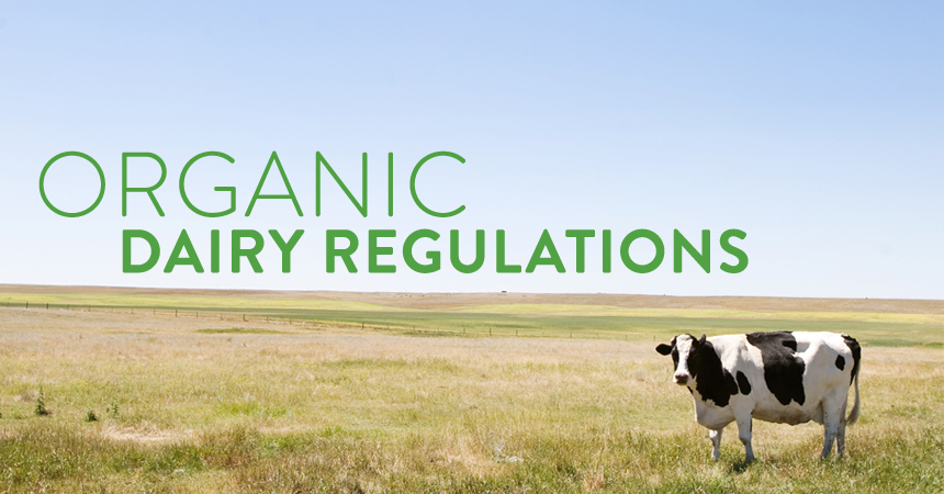 Whistleblower: An Urgent Warning On Toxic Food, Food Industry Lies & The Truth About Organic