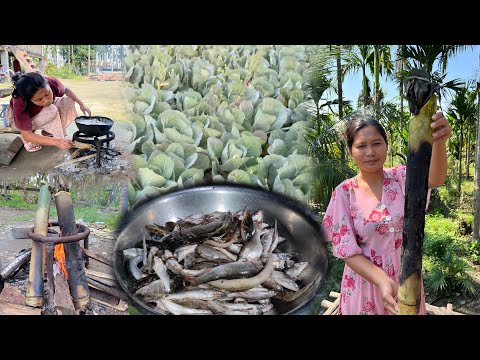 Cooking Delicious Fish Recipes for my Friends | Collecting Organic Cabbages