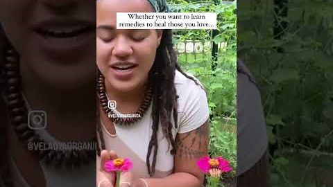 Herbalist Certification School Herbalist Certification School
