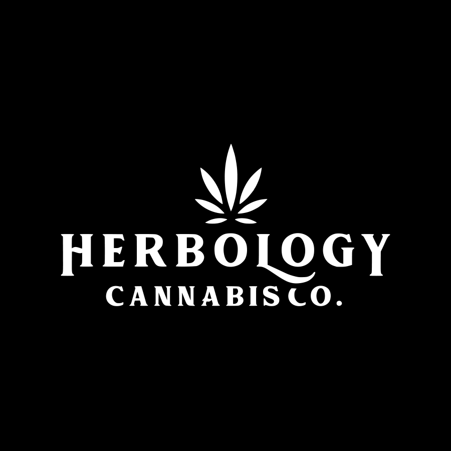 🌿 Herbology 1 Review - Herbs that Drain Dampness (Extended Live Lecture)