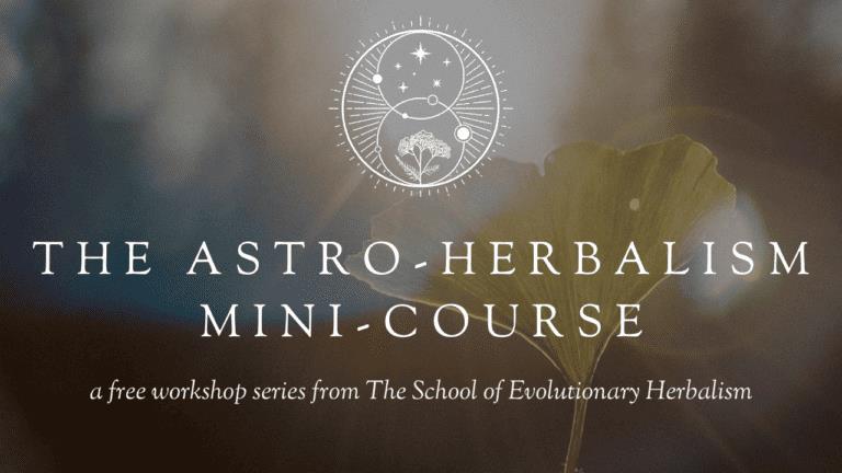 Medical Astrology’s Insights into Holistic Herbalism