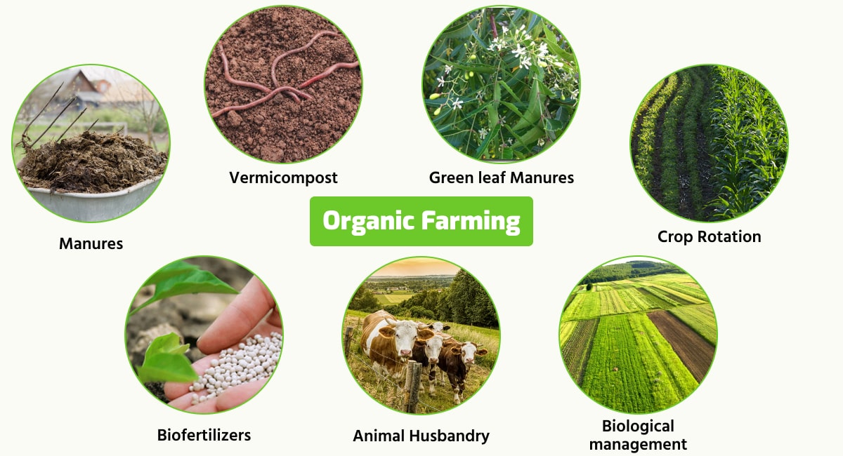 Gambia Songhai Initiative promoting organic farming.