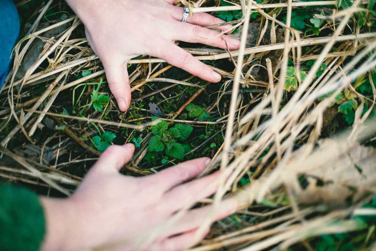 Working with the Whole Plant