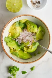 Best Guacamole Recipe Ever (Really!)