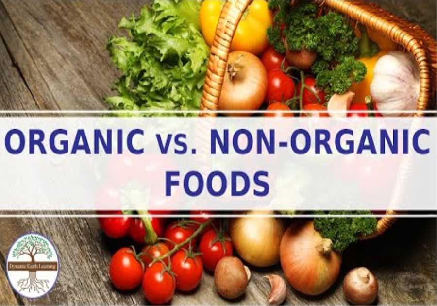 Organic Foods Vs Non Organic Foods Explainer Video