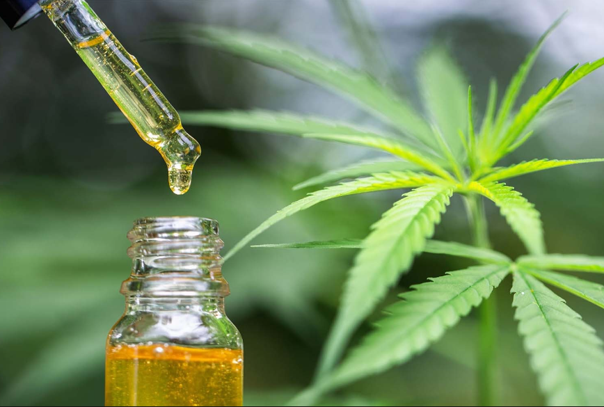 What Is Cannabidiol?