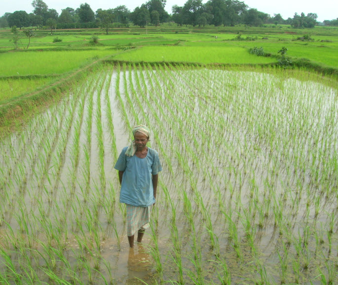 Chhattisgarh's Organic Farming Schools